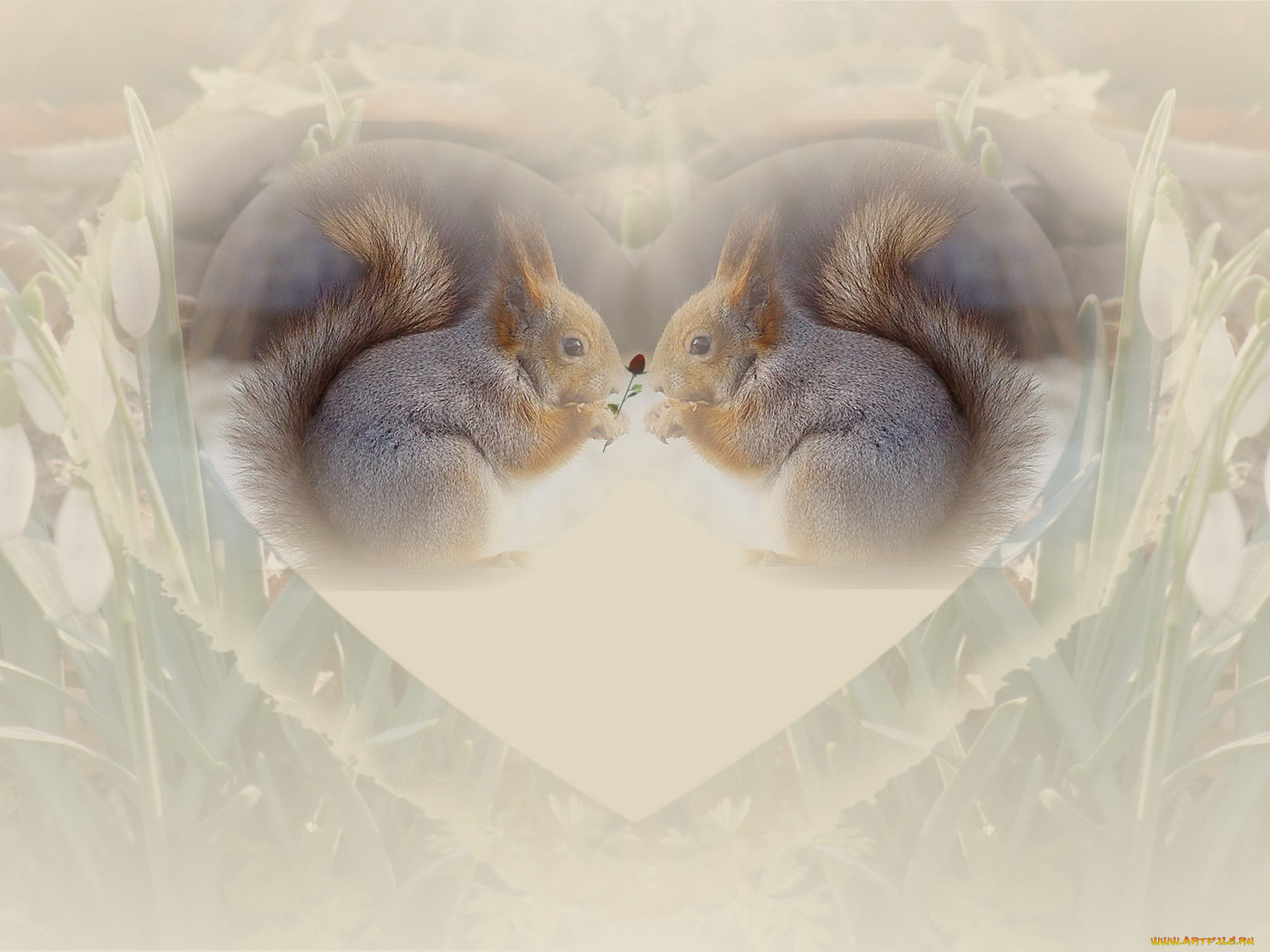 , , , , 